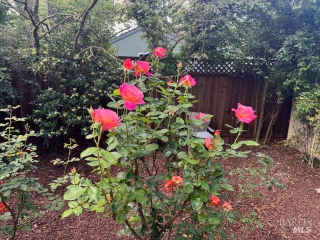 406 Corrillo Dr, San Rafael, CA 94903