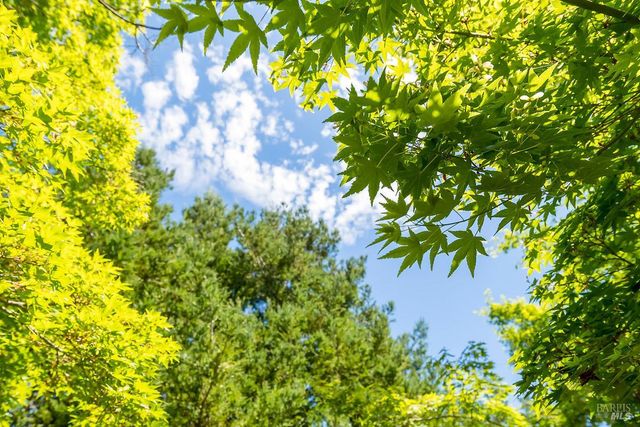 406 Corrillo Dr, San Rafael, CA 94903