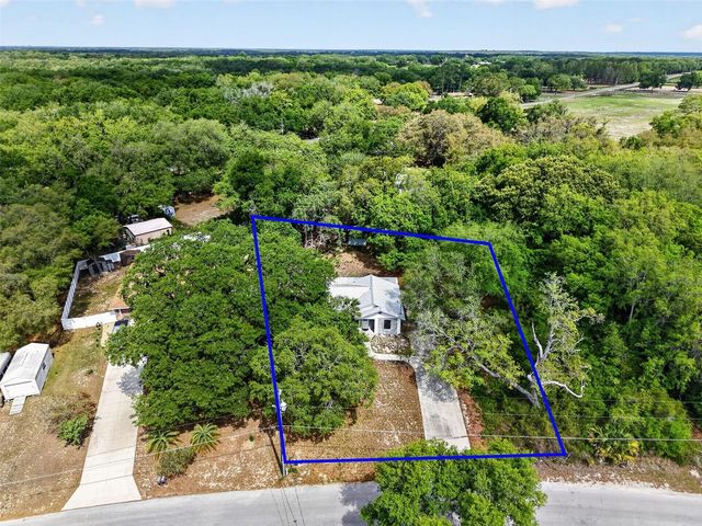 40248 ORANGE CIRCLE, Lady Lake, FL 32159