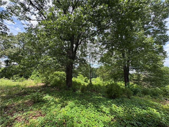 83 NC 2813, Marble Falls, AR 72648
