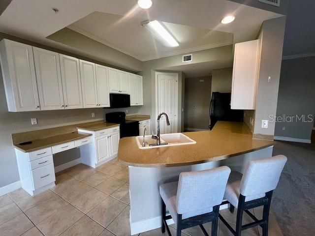 99 VIVANTE BOULEVARD 9949, Punta Gorda, FL 33950