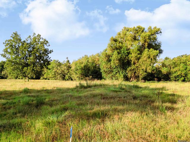Lot NRC 4 New River Canal Rd, Geismar, LA 70734