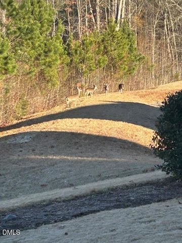 106 Castien Cove Place, Apex, NC 27539