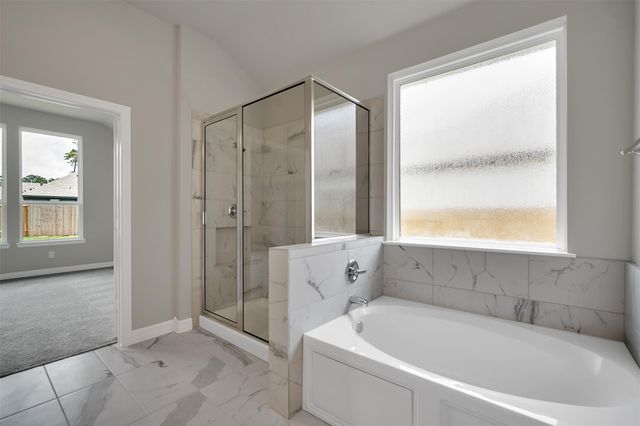 529 Cedar Harbor Court, Conroe, TX 77304