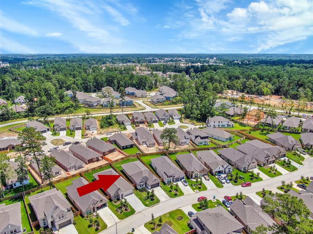 529 Cedar Harbor Court, Conroe, TX 77304