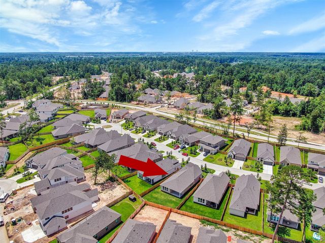 529 Cedar Harbor Court, Conroe, TX 77304