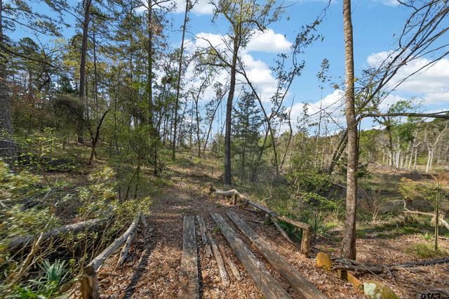 0 AN Country Road 3193, Frankston, TX 75763