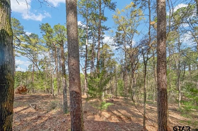 0 AN Country Road 3193, Frankston, TX 75763
