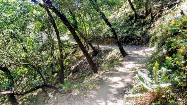 136 Peacock Dr, San Rafael, CA 94901