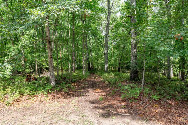 12308 CATHARINES FURNACE CT, Spotsylvania, VA 22553