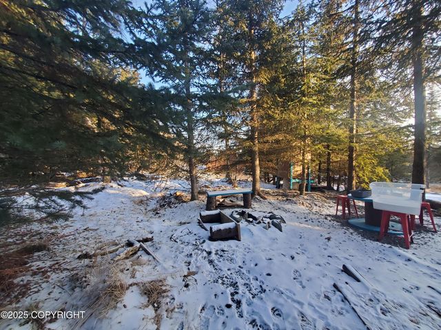 38185 Chelsey Street, Homer, AK 99603