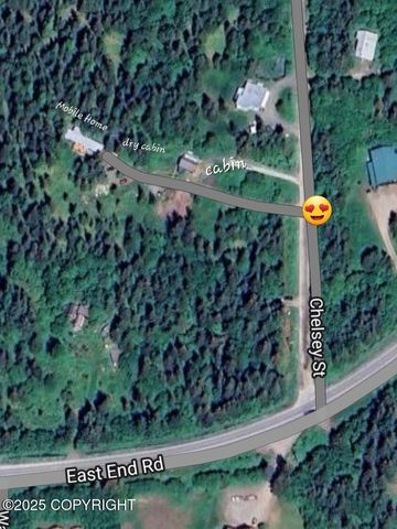 38185 Chelsey Street, Homer, AK 99603