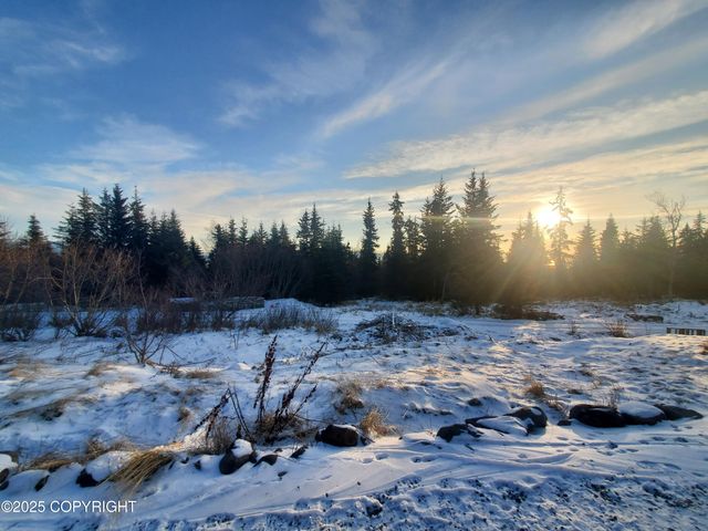 38185 Chelsey Street, Homer, AK 99603