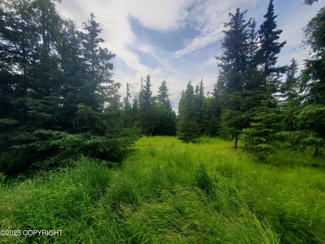 38185 Chelsey Street, Homer, AK 99603