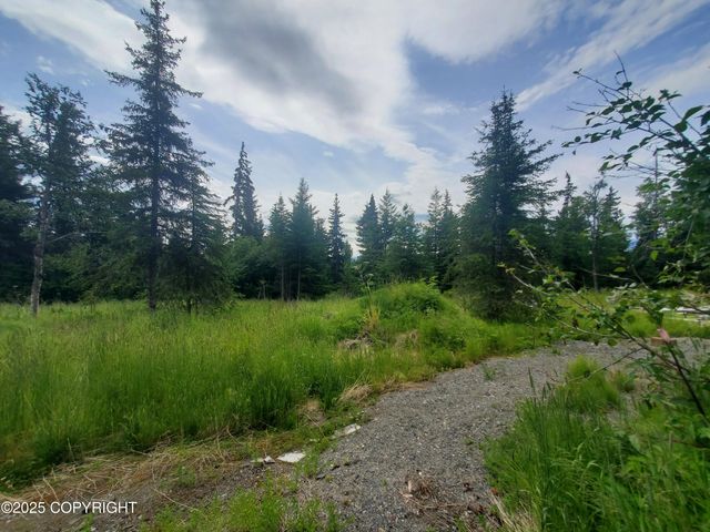 38185 Chelsey Street, Homer, AK 99603