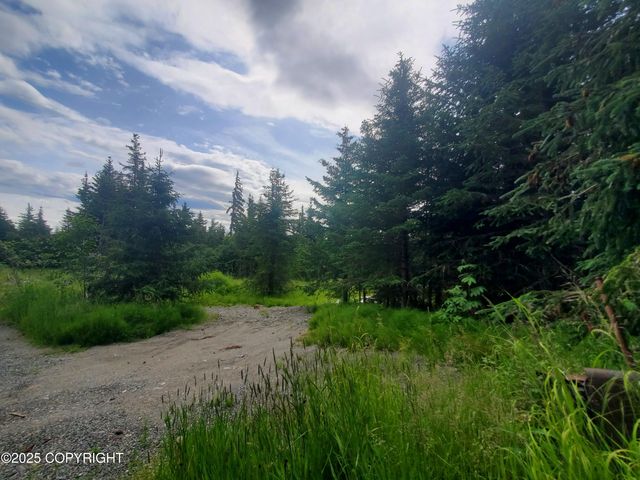 38185 Chelsey Street, Homer, AK 99603