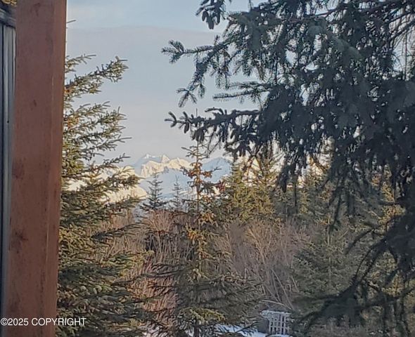 38185 Chelsey Street, Homer, AK 99603