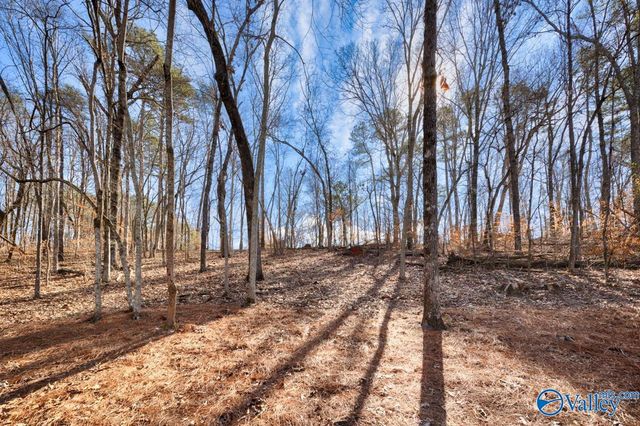 437 Shoreland Circle, Scottsboro, AL 35769