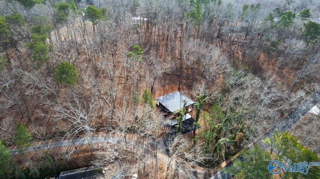 437 Shoreland Circle, Scottsboro, AL 35769