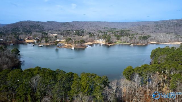 437 Shoreland Circle, Scottsboro, AL 35769