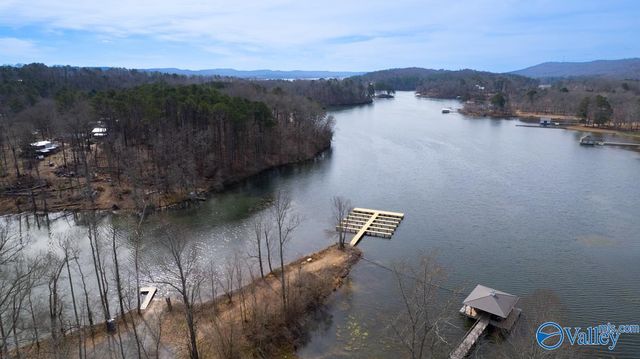 437 Shoreland Circle, Scottsboro, AL 35769