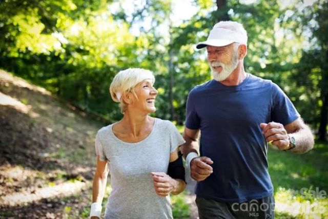 4200 Vista Pine Drive, Charlotte, NC 28215