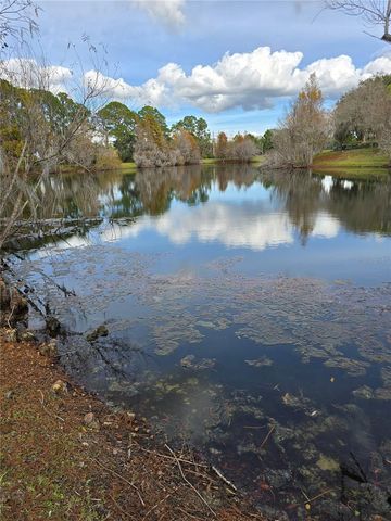 912 NEW PROVIDENCE 912, Davenport, FL 33897