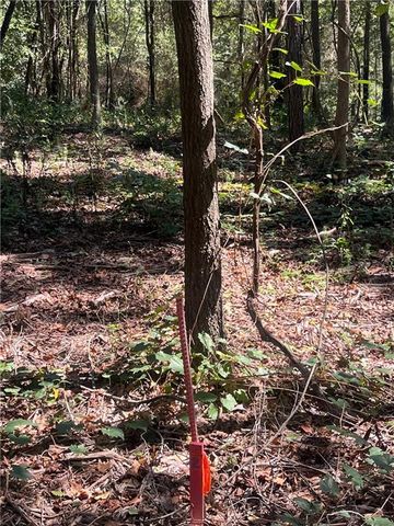 0 Fairview Farms Circle, Lavonia, GA 30553