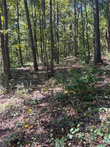 0 Fairview Farms Circle, Lavonia, GA 30553