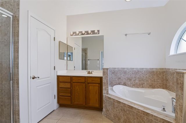 17313 CHATEAU PINE WAY, Clermont, FL 34711
