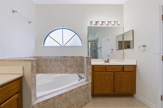 17313 CHATEAU PINE WAY, Clermont, FL 34711