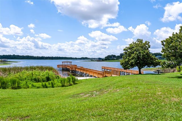 17313 CHATEAU PINE WAY, Clermont, FL 34711