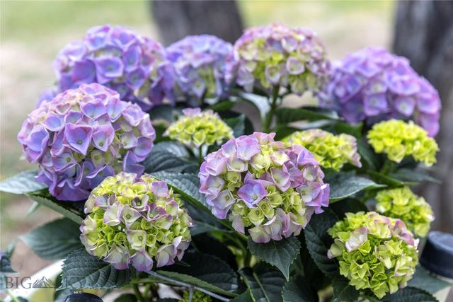 47 Tobacco Root Road, Silver Star, MT 59751