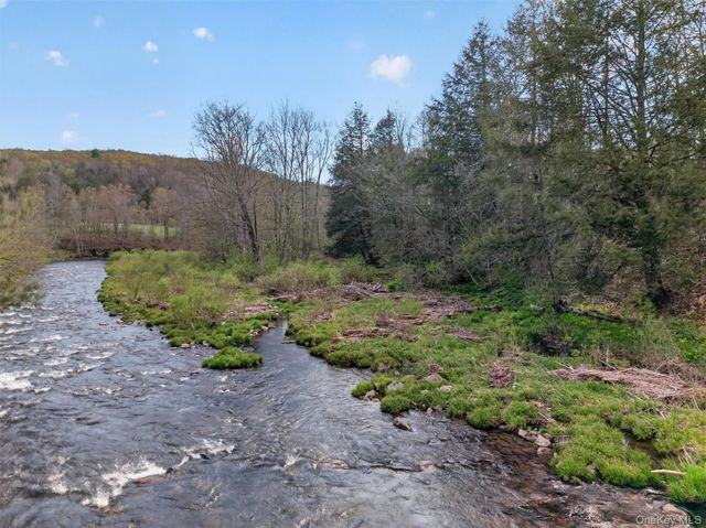 674 Debruce Road, Livingston Manor, NY 12758