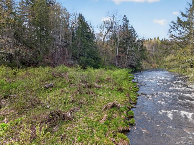674 Debruce Road, Livingston Manor, NY 12758