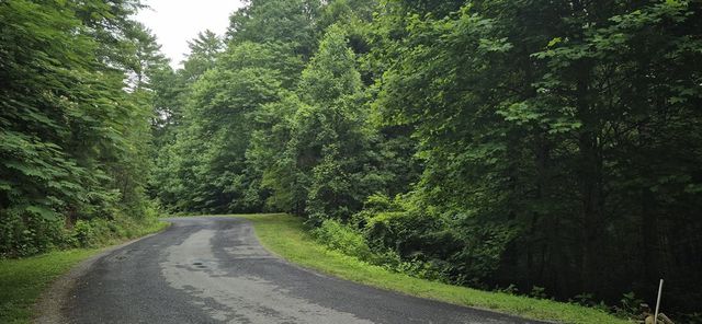 Lot 4 Roaring Forks Lane, Ellijay, GA 30540