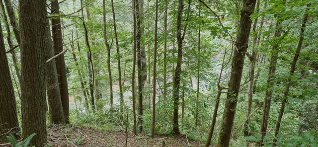 Lot 4 Roaring Forks Lane, Ellijay, GA 30540