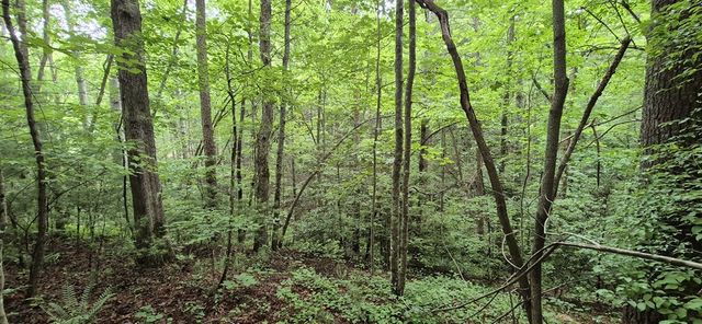 Lot 4 Roaring Forks Lane, Ellijay, GA 30540