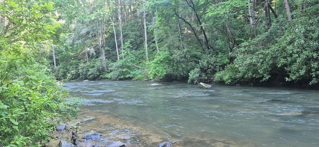 Lot 4 Roaring Forks Lane, Ellijay, GA 30540
