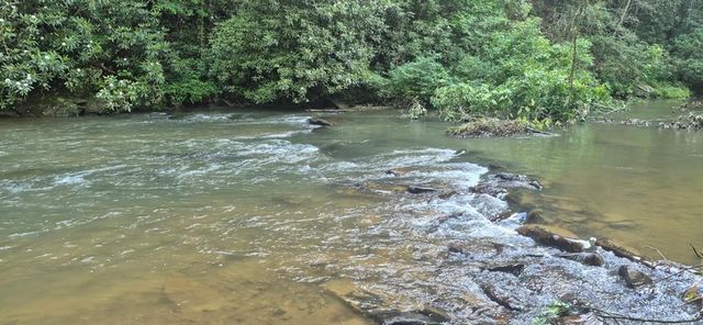 Lot 4 Roaring Forks Lane, Ellijay, GA 30540