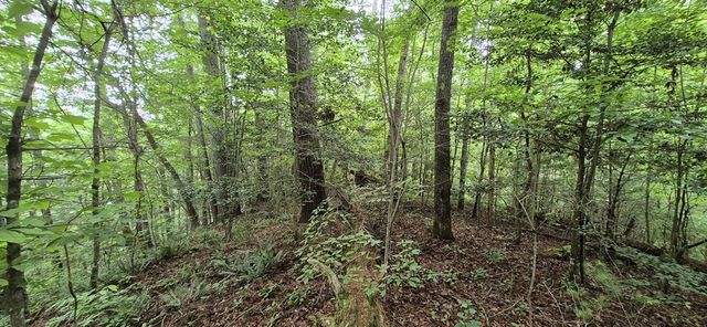 Lot 4 Roaring Forks Lane, Ellijay, GA 30540