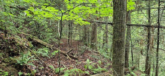 Lot 4 Roaring Forks Lane, Ellijay, GA 30540