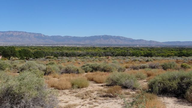 5008 Cinnamon Teal, Albuquerque, NM 87120