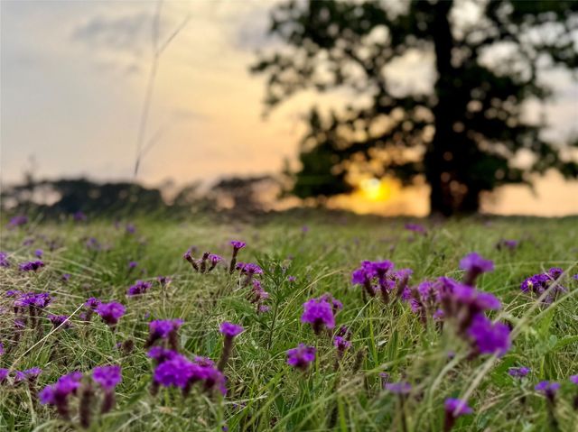 934 Jones Road, New Waverly, TX 77358