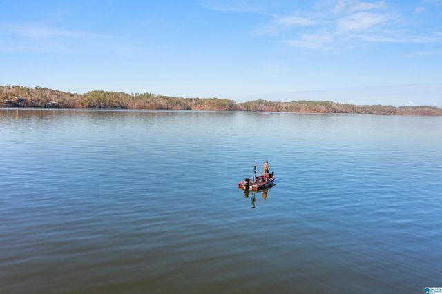 42 S COVE DRIVE, Sylacauga, AL 35151