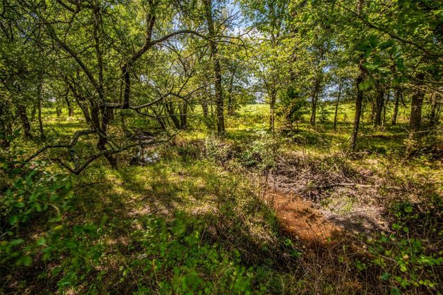 TBD Hwy 82, Ector, TX 75439