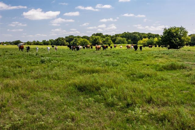 TBD Hwy 82, Ector, TX 75439