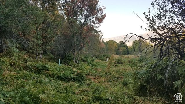 2522 N Nordic Valley Dr Unit 23, Eden, UT 84310