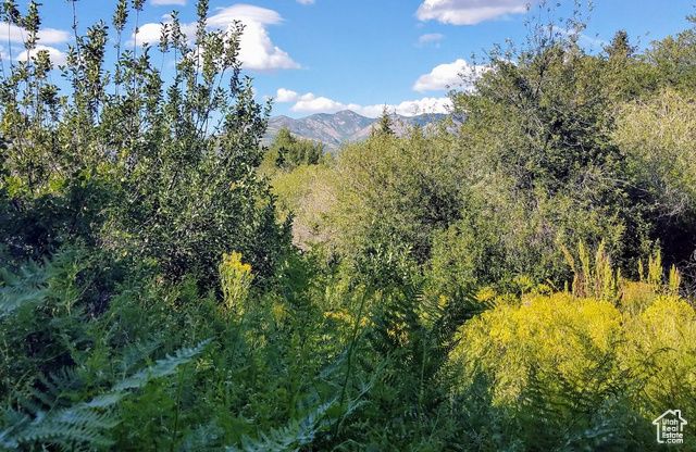 2522 N Nordic Valley Dr Unit 23, Eden, UT 84310