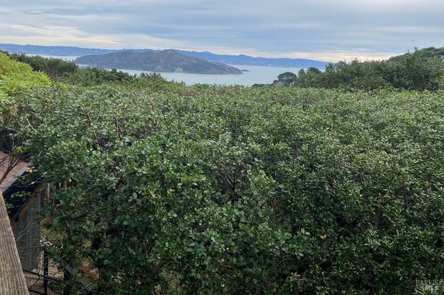 89 Monte Mar Dr, Sausalito, CA 94965